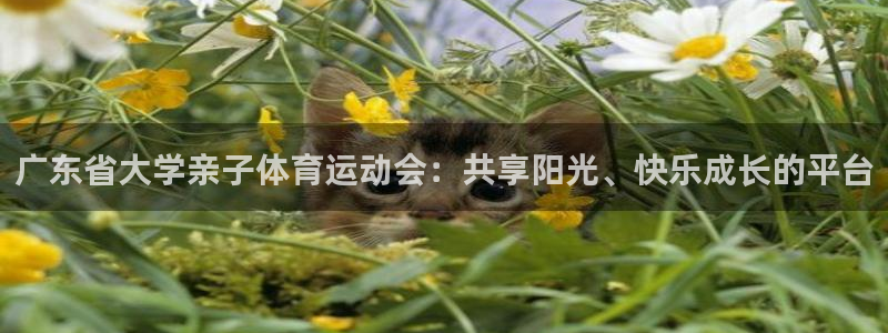 速8体育网：广东省大学亲子体育运动会：共享阳光、快乐成长的平台