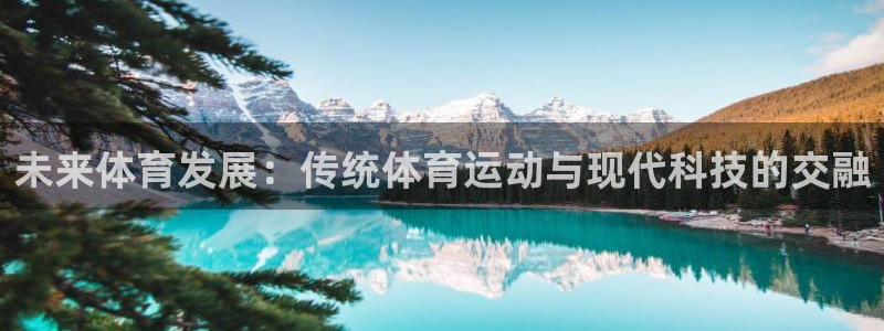 速8体育网：未来体育发展：传统体育运动与现代科技的交融