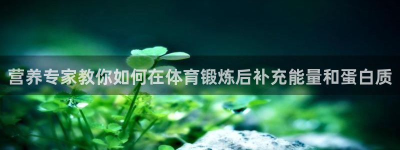 速8体育网：营养专家教你如何在体育锻炼后补充能量和蛋白质