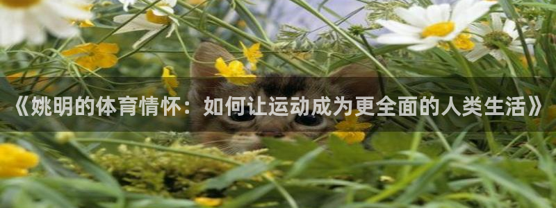 速8体育网：《姚明的体育情怀：如何让运动成为更全面的人类生活》