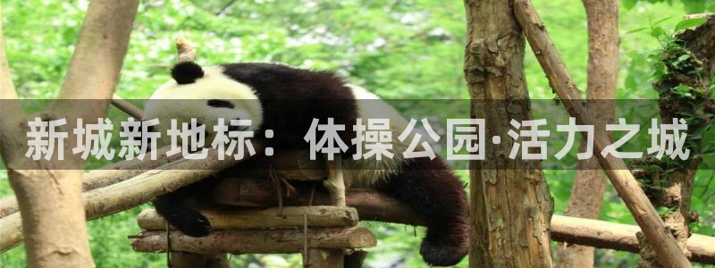速8体育网：新城新地标：体操公园·活力之城