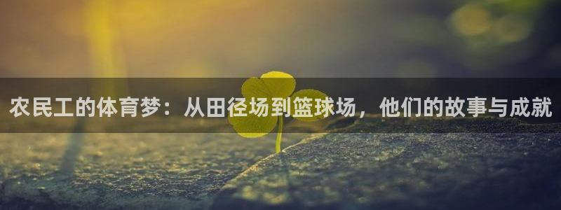 速8体育网：农民工的体育梦：从田径场到篮球场，他们的故事与成就
